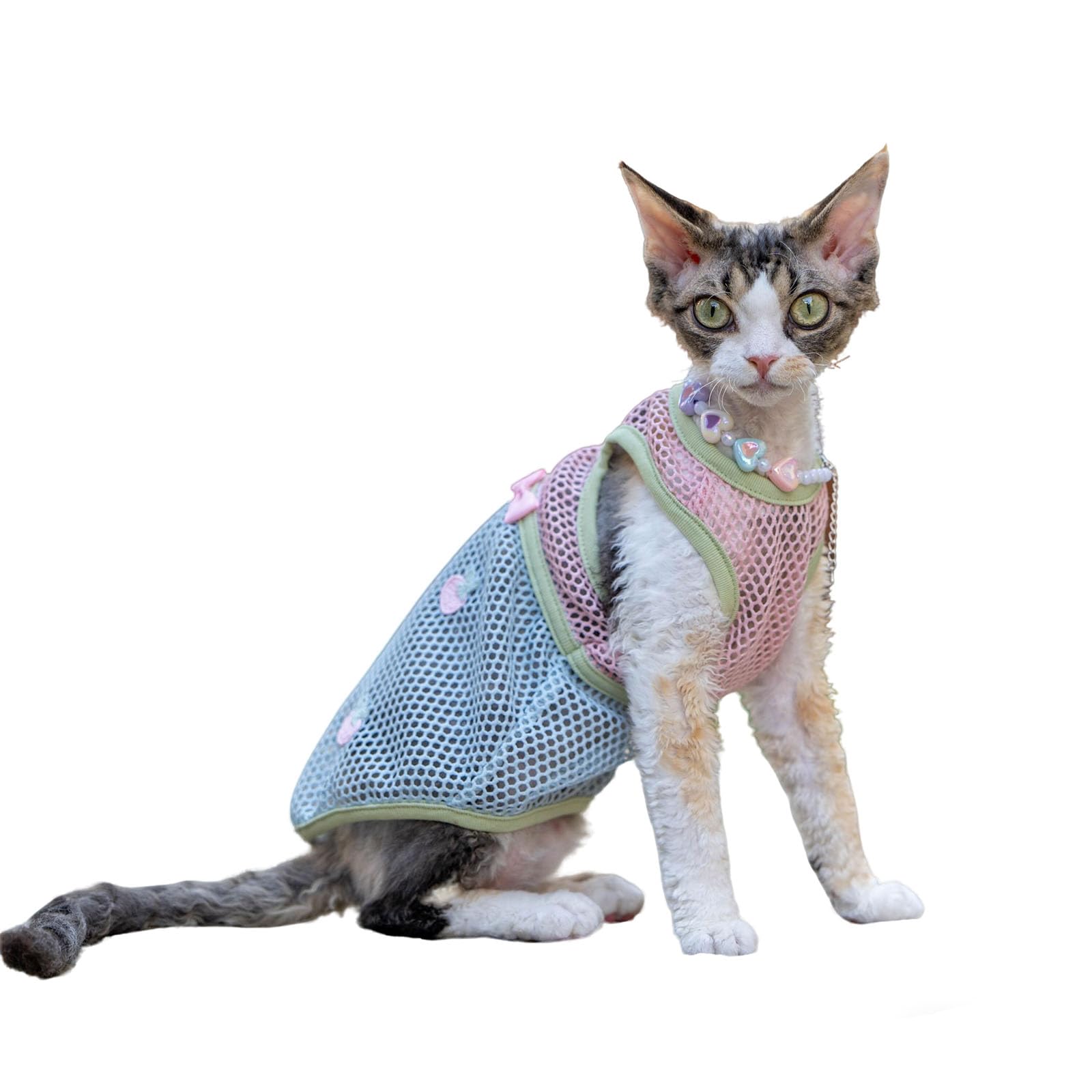 Camiseta transpirable para gatos Devon Rex ideal para el descanso relajado en días calurosos