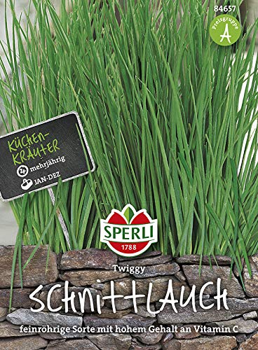 Sperli 84657 Schnittlauch Twiggy (Schnittlauchsamen)