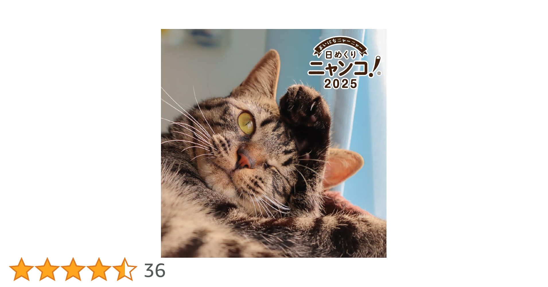 日めくりニャンコカレンダー 2025年 卓上 Amazon | 日めくりニャンコ！2025年(卓上日めくりカレンダー猫版) 本体