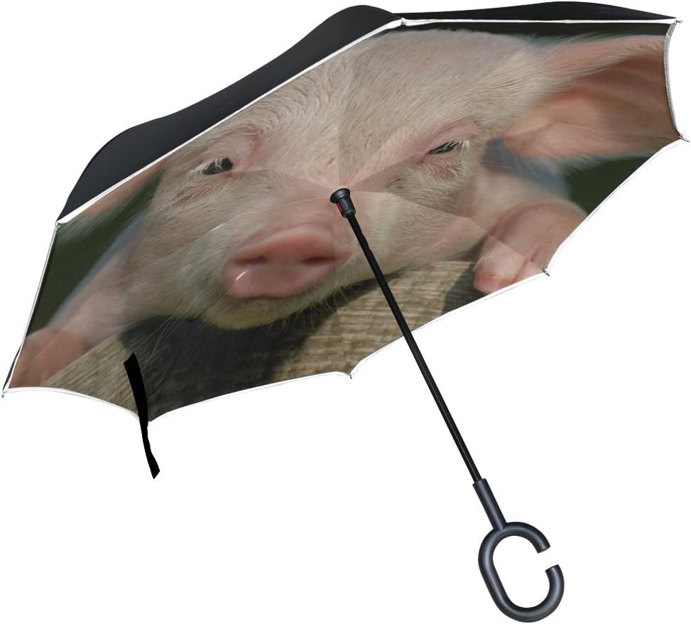 RH Studio Inverted Umbrella Pig Little Pig Countryside