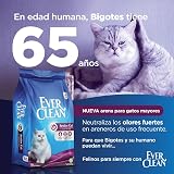 Ver la foto 6