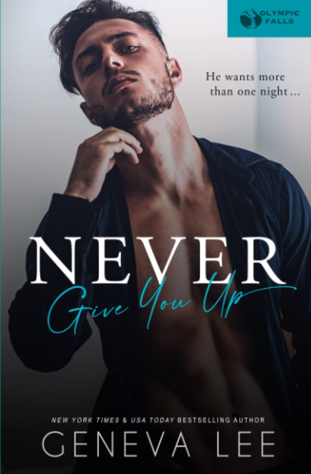 Never Give You Up (Olympic Falls)