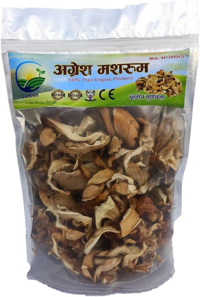 BM MUSHROOM Oyster Mushrooms Grow Kit Spawn With Pp Bags (1 Kg Spawn),Mycelium fungus plant