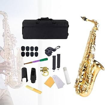 Amazon | プロ仕様の E フラット アルト サックス セット