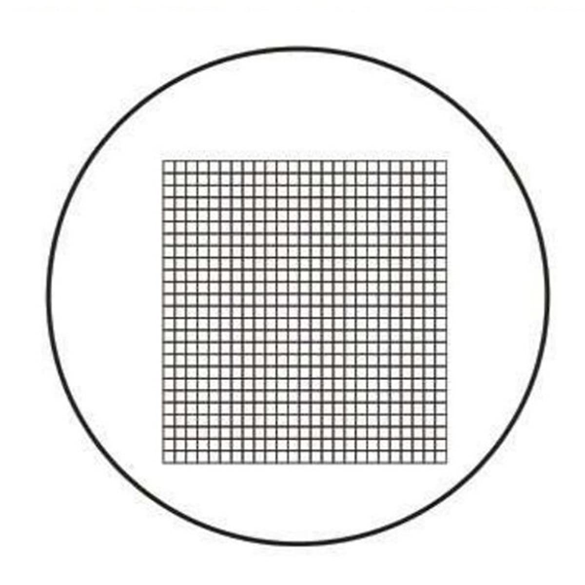 Lab Microscope Accessories Diameter 27mm Micrometer Calibration Scale Optical Glass Horizontal Ruler Microscope Machine(MS-1-JG)