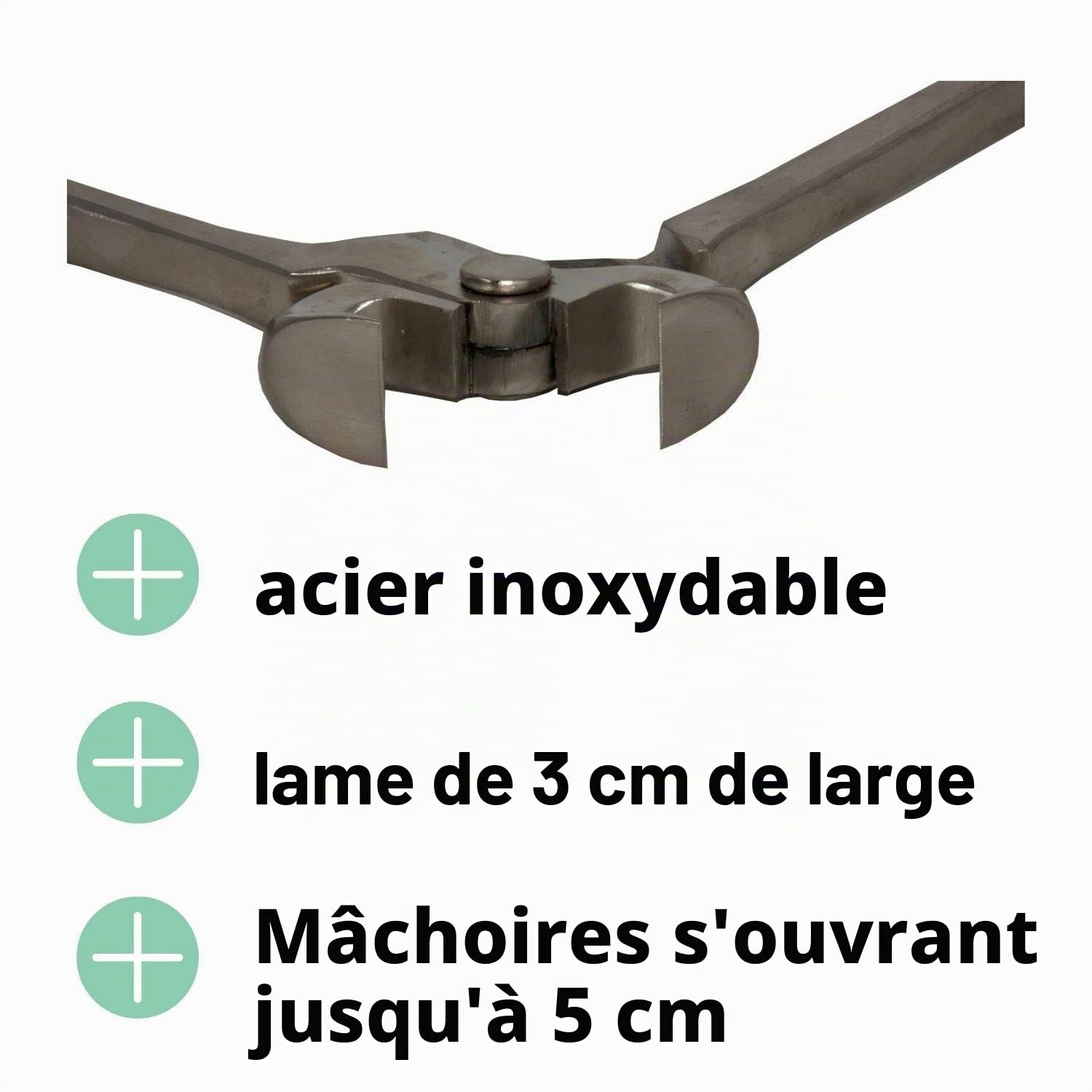 Reitsport Amesbichler AMKA Pince à sabot en acier inoxydable Longueur totale 39 cm