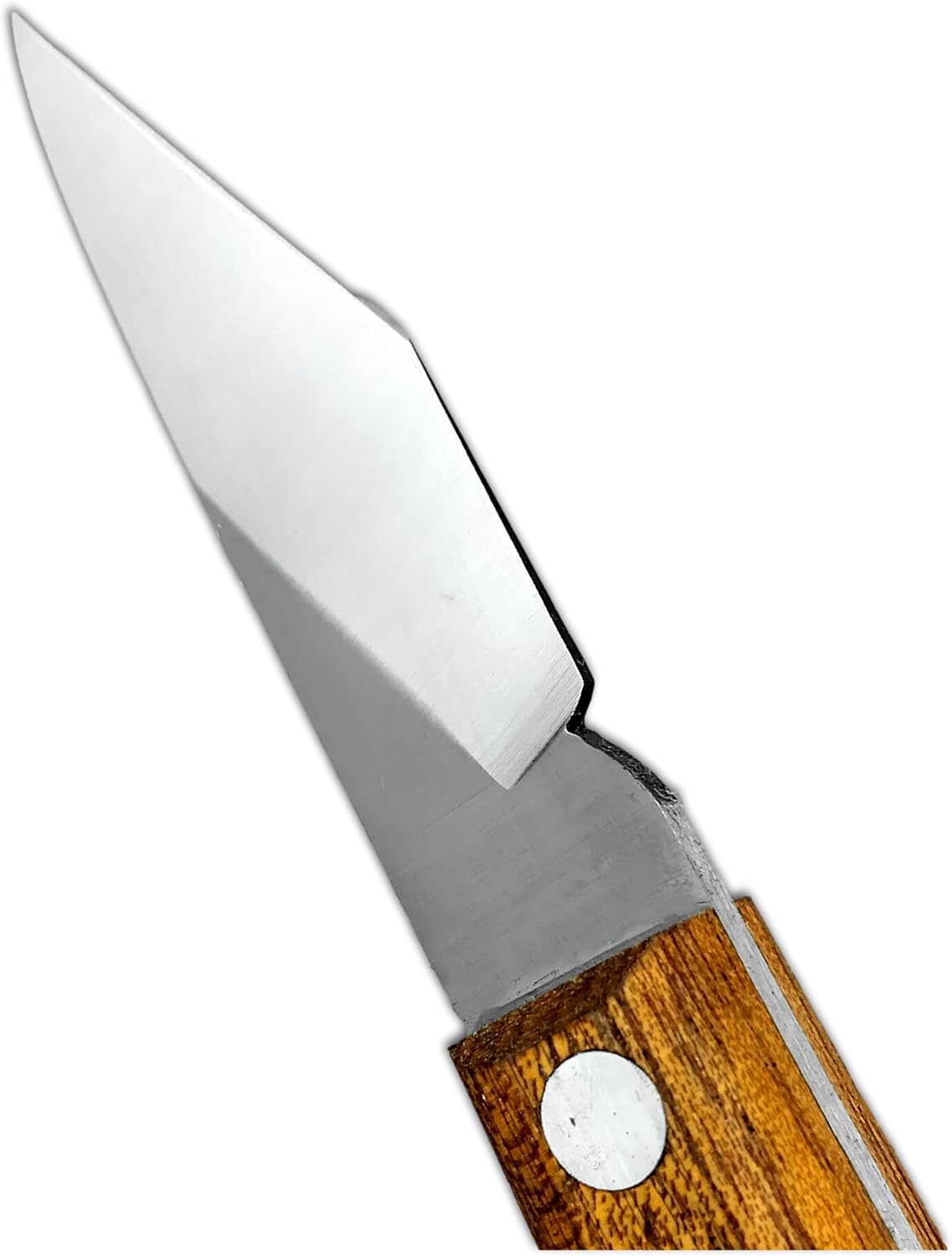 DUE BUOI 227L FX Professional Agriculture Pruning Grafting Knife for Budding Trimming Carbon Steel FIXED Blade - (Professional Knife NOT an EDC Knife)