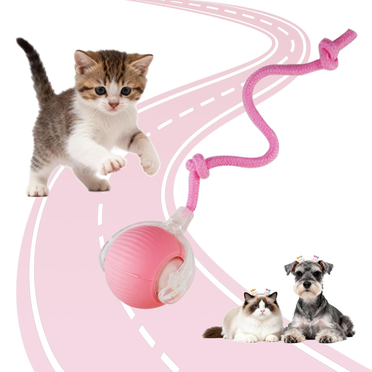 Interactive Cat Toys Ball for Indoor Cats, Interactive Rolling Small Dog Cat Toys Automatic Self Moving, 360°,Electric Balls，Fast Rolling，Smart Automatic Rolling Pet Ball (Pink)