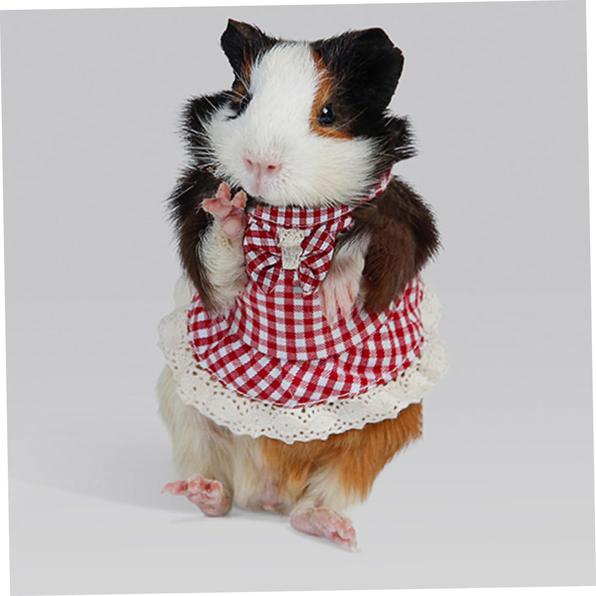 Supvox 4stücke Pet Und Leash Set Für Kleine Haustiere Verstellbares Brustgeschirr Für Kaninchen Meerschweinchen Und Frettchen Langlebige Outdoor- Für Training Und