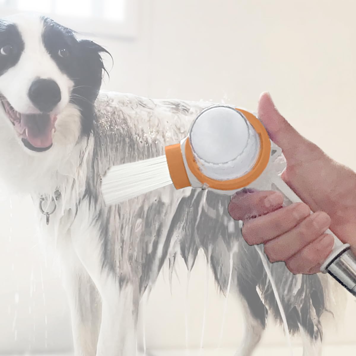 ペットの泡シャンプーマシン　ホースセット　犬　シャンプー　トリミング　シャワニー 無料体験】高濃度炭酸泉装置 / シャンプーマシン – PLUCK ペットの泡