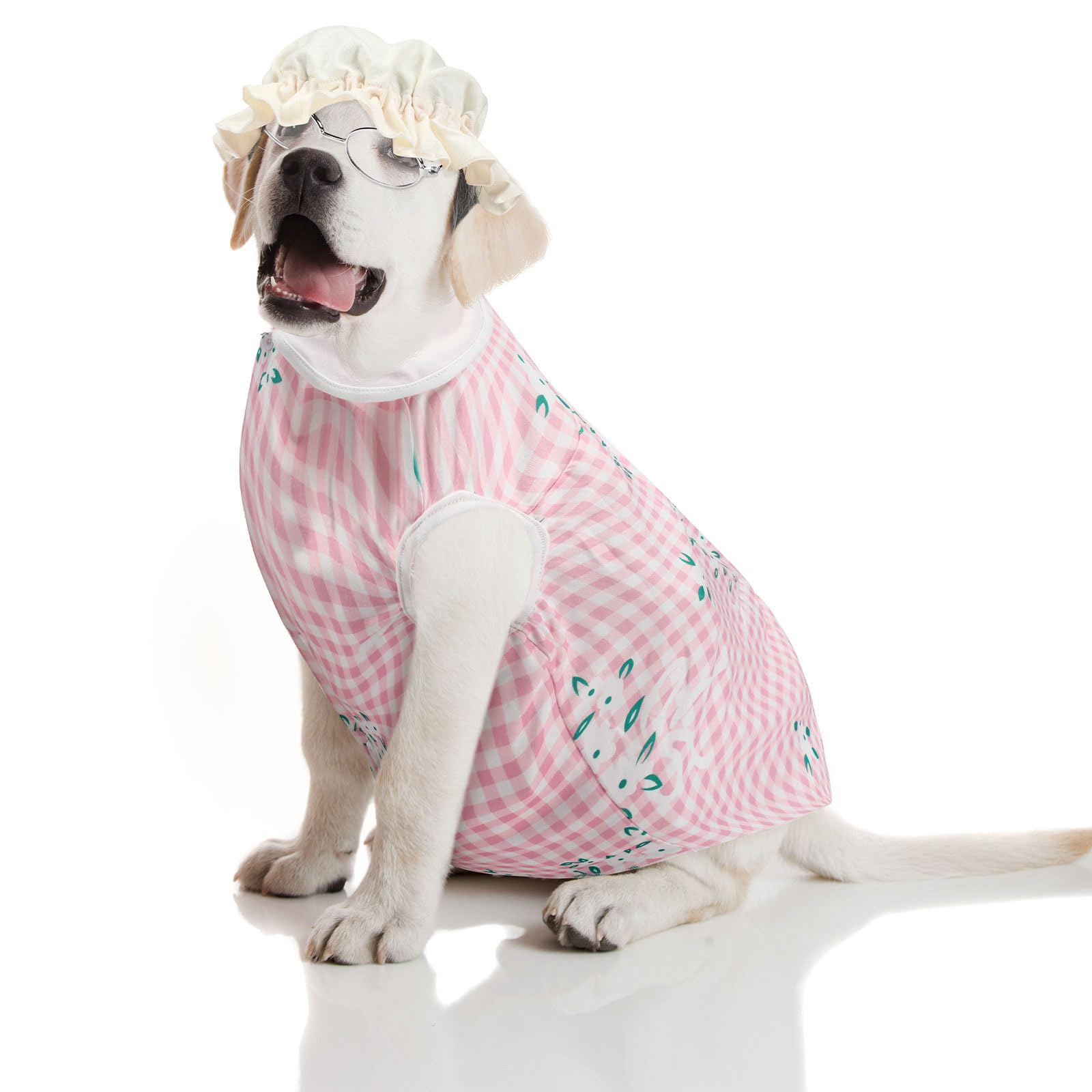 dog dressed as old lady FRISCO Front Walking Granny Dog & Cat Costume, XX-Large