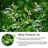 Vista 8 de Té de hierbas común Knotgrass de 3.5 oz (Polygonum Aviculare) - 3.53 oz de té de hierbas de pigweed