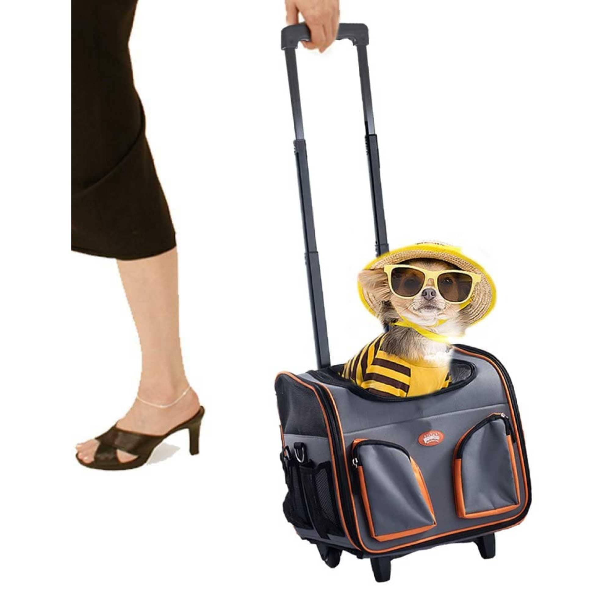 Pawise Troley para Transporte, 37 x 27 x 33 cm