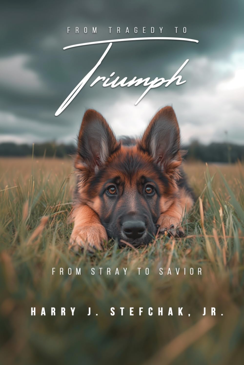 From Tragedy to Triumph