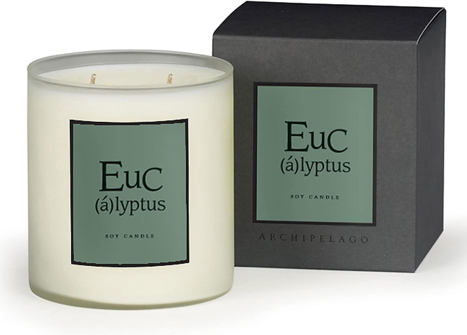 Archipelago Botanicals Eucalyptus Boxed Candle Wild