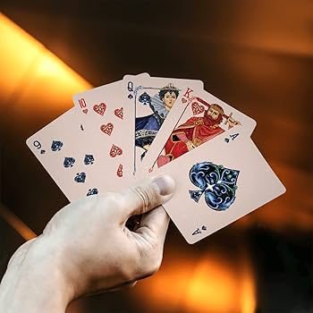 61msn2hJ8TL._AC_UF350,