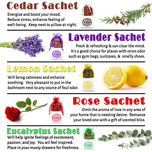 Cedar Sense - Eucalyptus Scented Cedar Sachets – 8 Pack – Essential Oil Infused Cedar Chips – Car Air Freshener – Closet Freshener – Potpourri Bags – Air Fresheners – Sachets For Drawers #TOP6