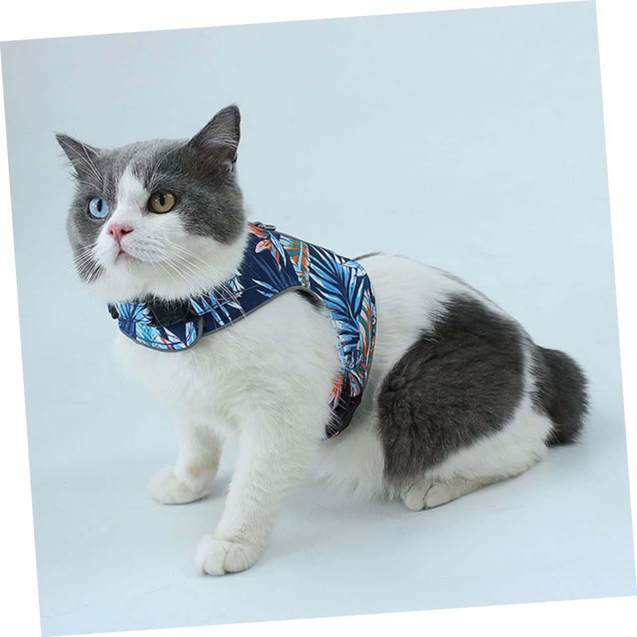 Didiseaon 3sets Pettorina Cat Luminosa e Traspirante Con Guinzaglio Per Gatti Piccoli e Medi Design Riflettente Per Passeggiate Notturne Comoda e Sicura Per Tuo Felino