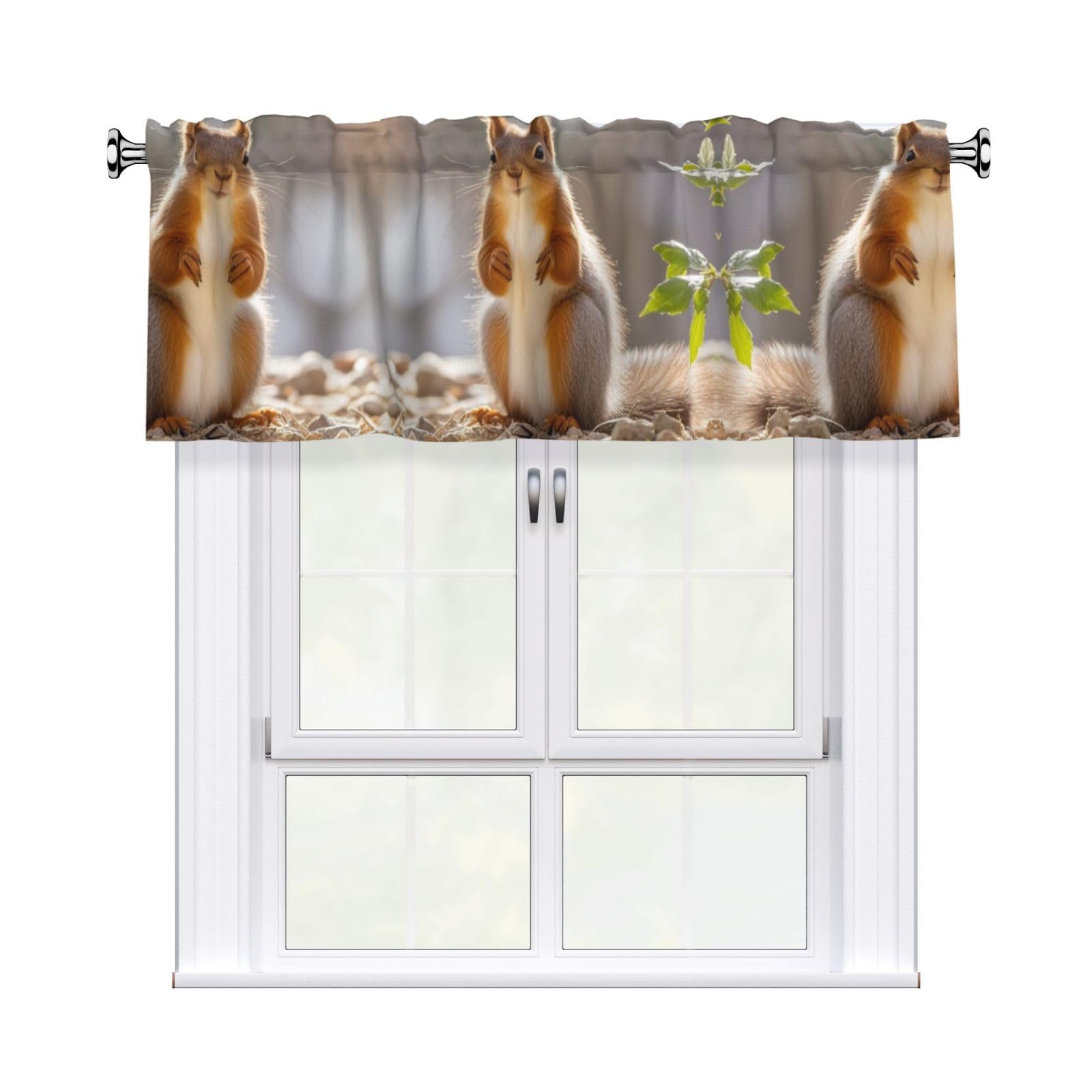 LMNGH Squirrel Funny Animal Curtain Valance for Windows,Kitchen Window Curtains Blackout Drapes Window Treatments Decorative Rod Pocket Short Curtain for Living Room Bedroom,54" W x 18" L