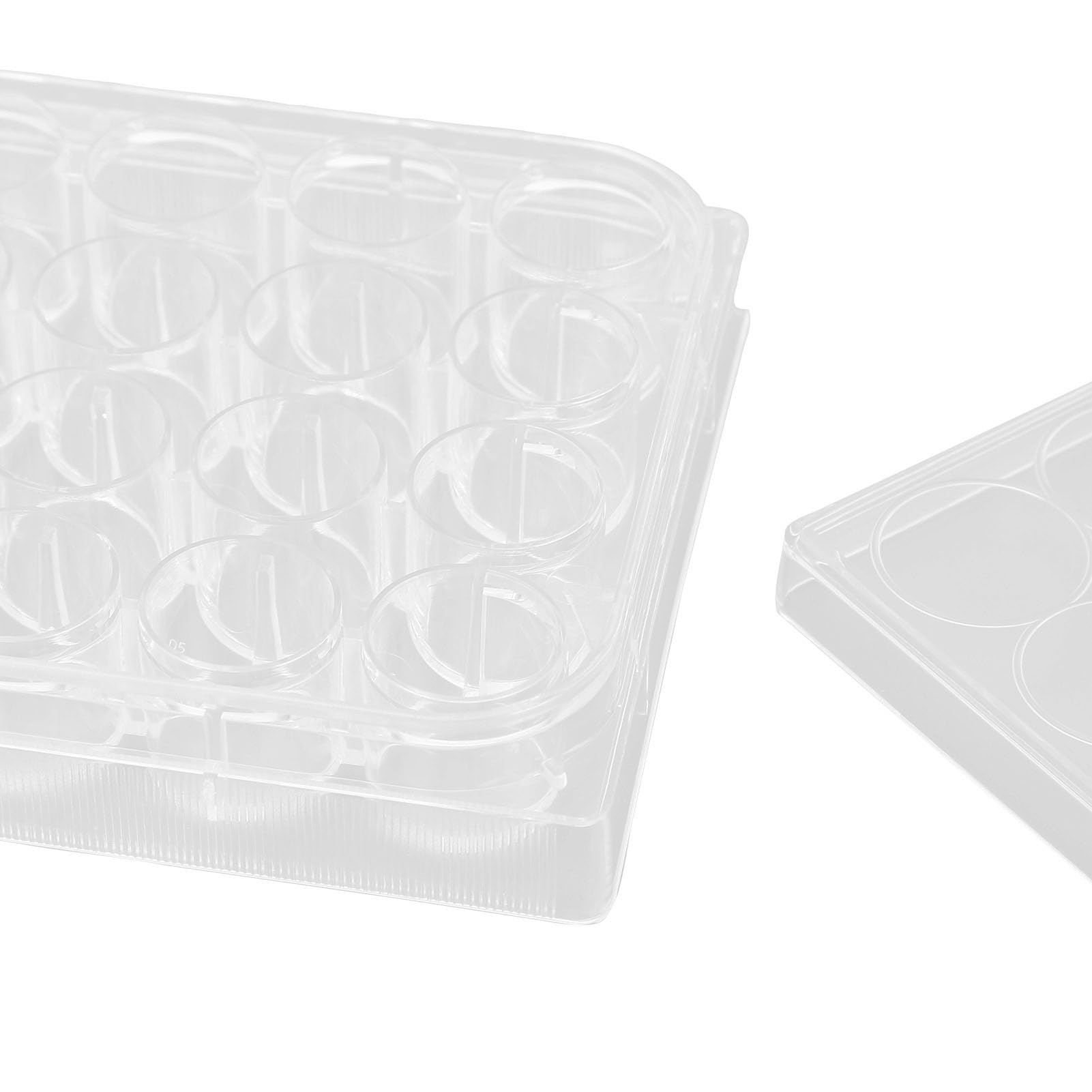 Zellkulturplatte aus Polystyrol, Stabiler Flacher, 10 Stück, mit Deckel für Laborexperimente (24 Tassen)
