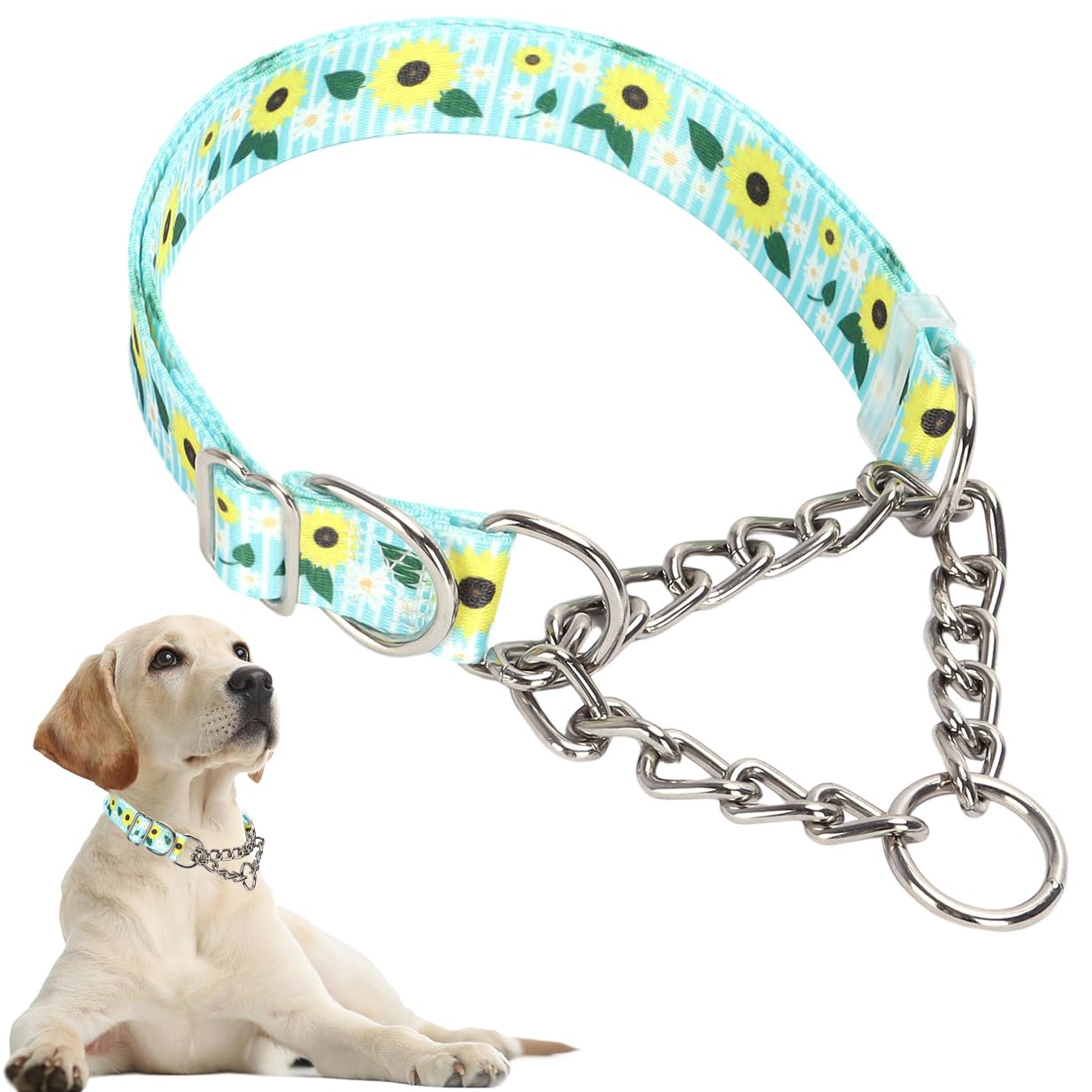 Chain Dog Collar