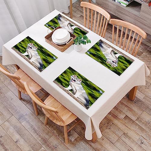 【Tovagliette Set】 Include 4 tovagliette. Dimensioni: 45x30cm. Queste tovagliette non solo proteggono efficacemente il tuo tavolo da graffi e macchie, ma prolungano anche la vita del tuo tavolo.