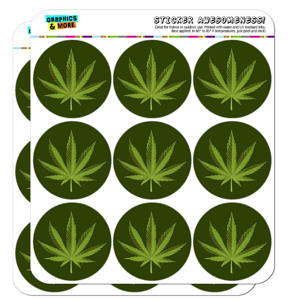 Marijuana Leaf Design Cannabis Pot 2