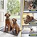 Muddy Mat® Shown on TV Super Absorbent Microfiber Dog Door Mat for Muddy Paws, Non-Slip Washable Pet Rug, Quick Dry Chenille Entryway Carpet, Machine Washable Indoor Outdoor mat, Grey 30