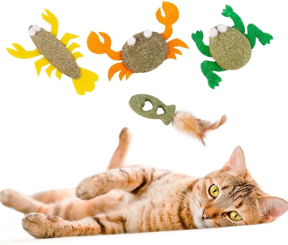 Catnip Ball Toys for Indoor Cats,Cat Teeth Cleaning Toy,Cat