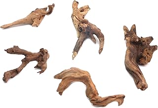5Pcs Real Natural Driftwood for Aquarium, Aquarium Decor Wood Freshwater Fish Tank Reptile Driftwood Branch Length 3.93" to 5.9"