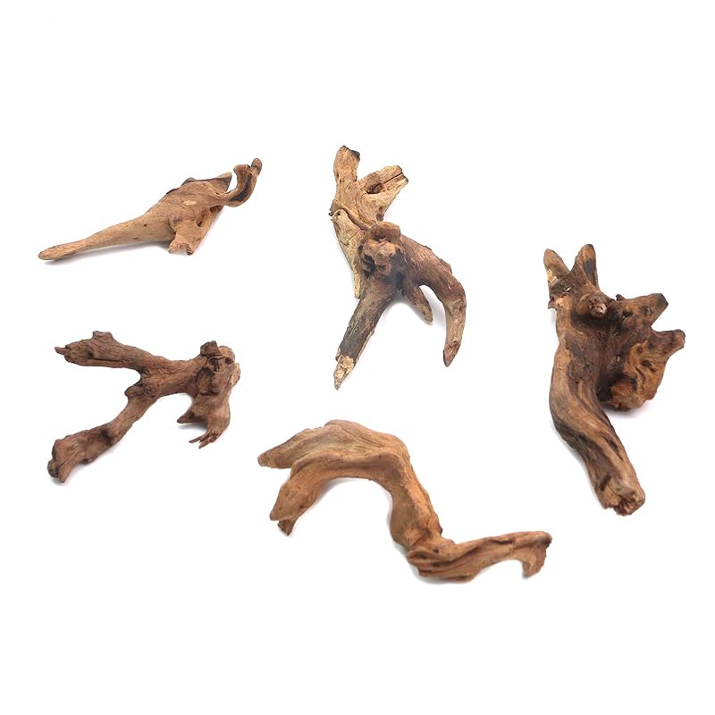 Madeira Natural Driftwood para Aquário Tsnamay, 5 Unidades de 10 a 15 cm
