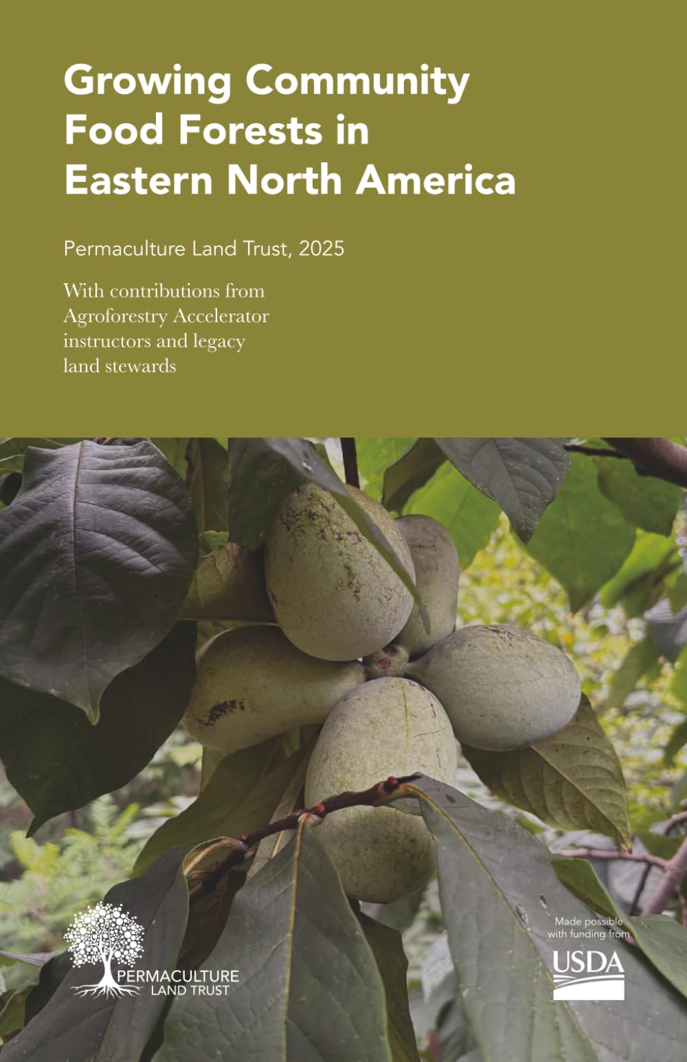 Growing Community Food Forests in Eastern North America: Permaculture Land Trust