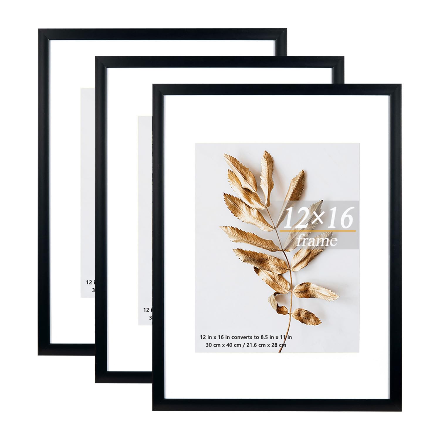 Set of 3 12x16 Picture Frame Black Frames can Display 8.5x11 Picture with Mat or 12x16 Without Mat on the Wall