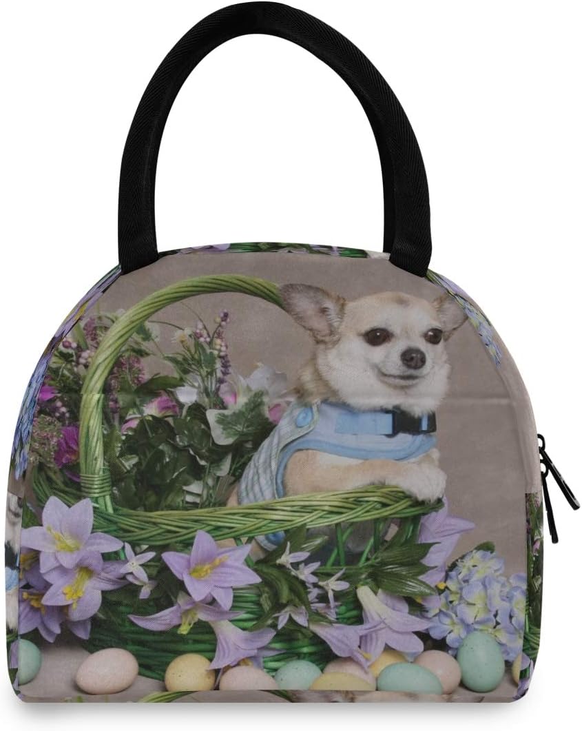 cestino da pranzo per insegnanti per le donne