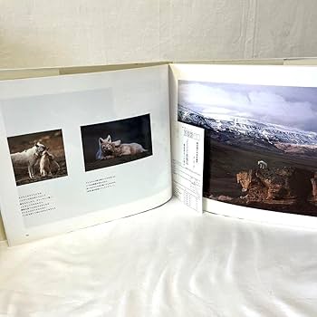 Amazon.co.jp: 白いオオカミ 北極の伝説に生きる ジムブランデンバーグ