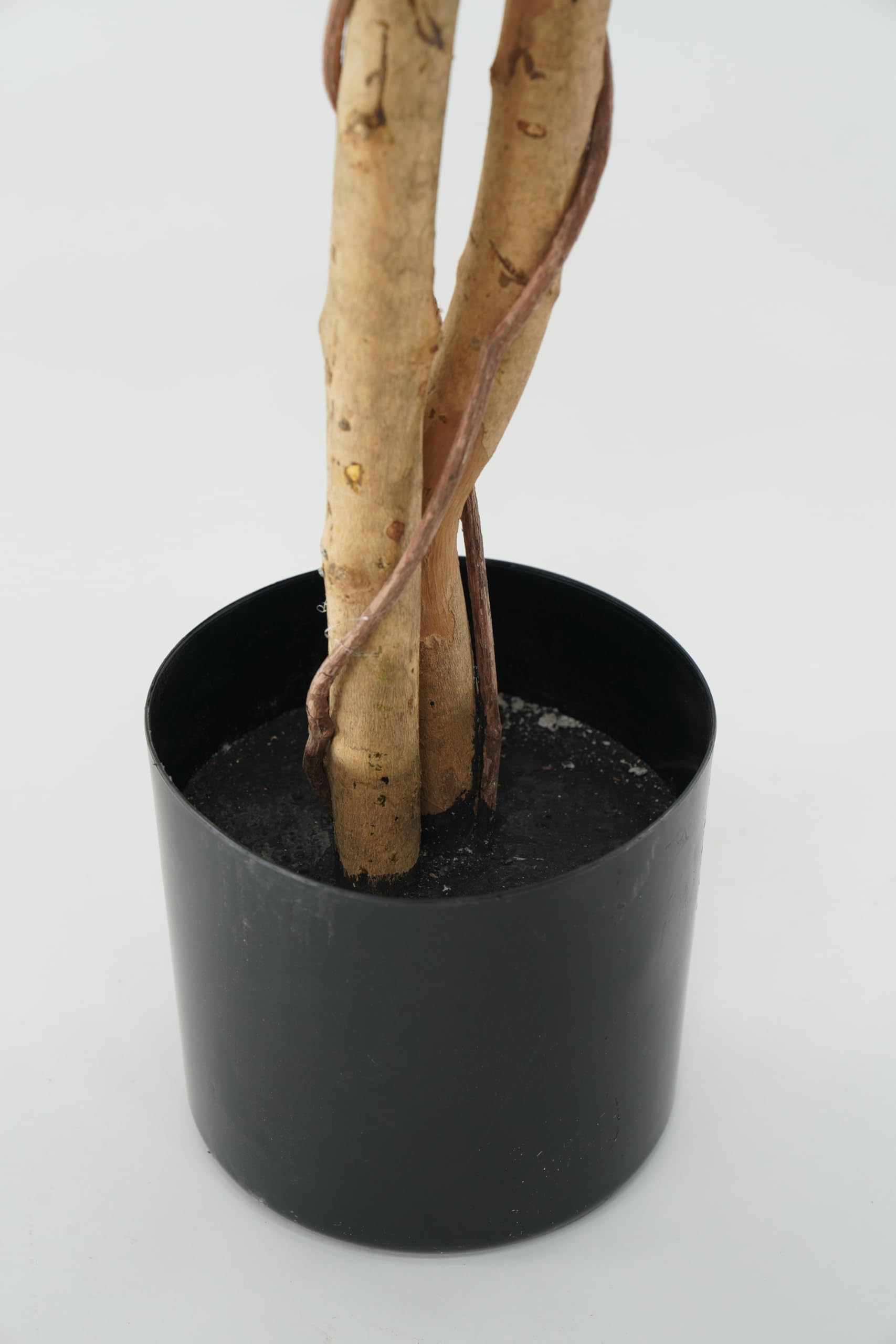 Ficus Benjamin Pianta Sintetica Finta Con Tronchi Intrecciati Legno Naturale e Foglie Poliestere Seta (Ficus-Benjamin 150cm)