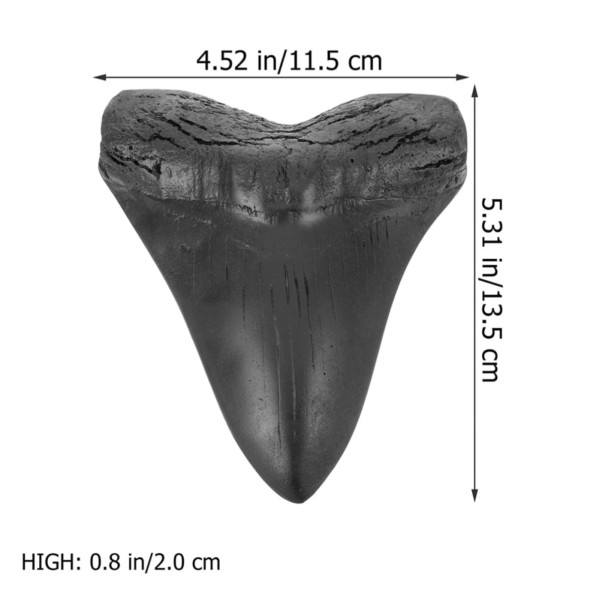 Réplicas de Dientes de Megalodón de Resina, 2 Piezas para Coleccionistas