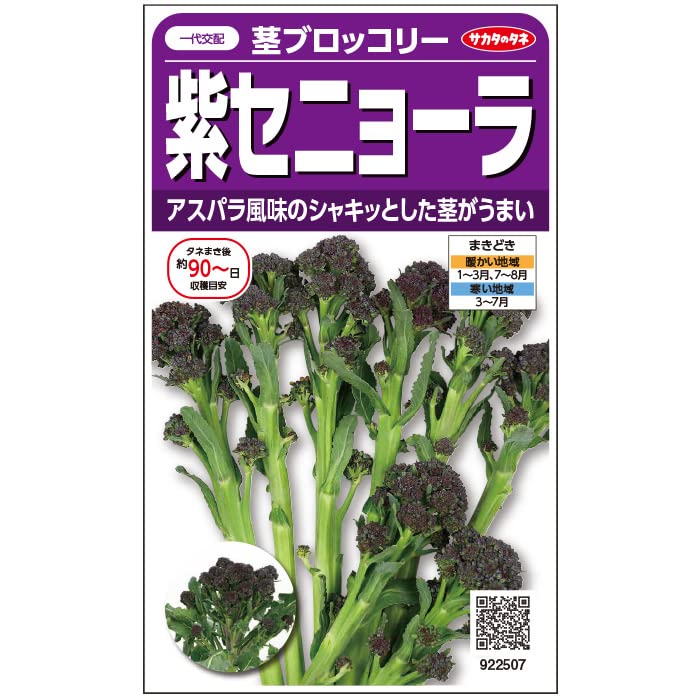 Amazon | サカタのタネ 実咲野菜2507 茎ブロッコリー 紫セニョーラ | 花