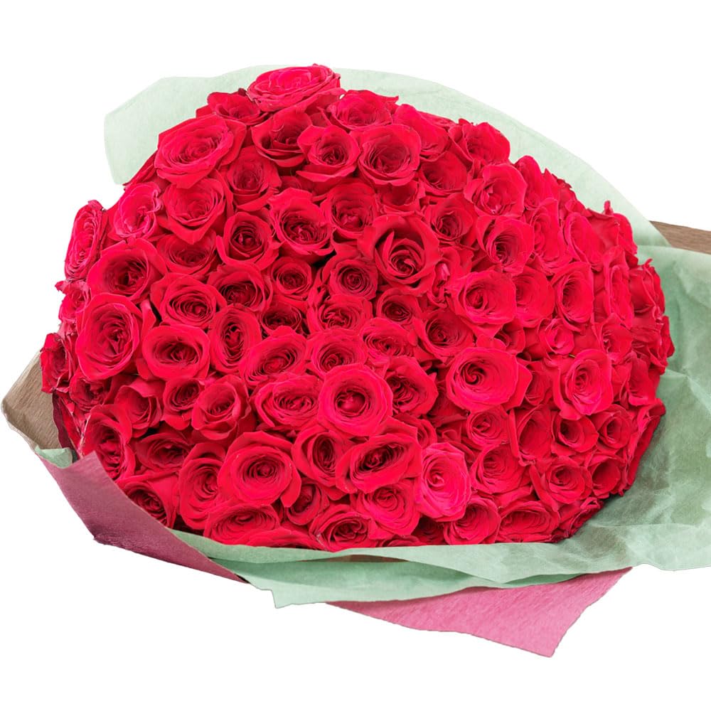 ぱる 1本バラ売り Amazon｜【1月1日～1月13日までの期間はお届けできません】THE WOW