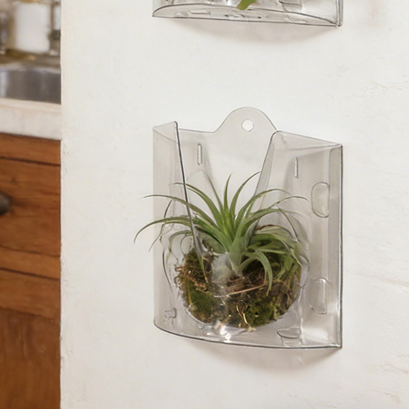 Staghorn Fern zestaw desek montażowych, 3 sztuki, drewniana donica ścienna, łatwy montaż, pionowa konstrukcja oszczędzająca miejsce do storczyków i roślin wiszących