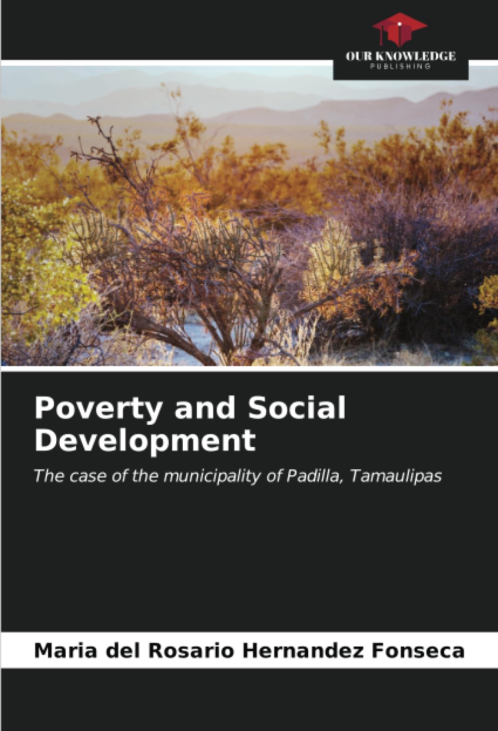Poverty and Social Development: The case of the municipality of Padilla, Tamaulipas