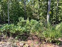 Review Image by Glenn R. Miller Glenn R. Miller