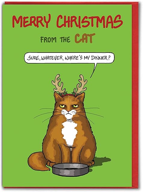 Brainbox Candy - Hilariously Funny Christmas Cards - Cat Cards - 'From The Cat' - Pet Cat - Cat Lovers - Cheeky Xmas Card For Him Her Partner Friend