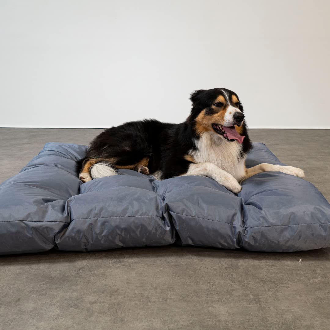 bananair - Hondenmand - Zachte en waterafstotende stof - Zeer comfortabele schuimvulling - Bed voor kleine, middelgrote en grote honden (125x110x15 cm, grijs bananair - Hondenmand - Zachte en waterafstotende stof - Zeer comfortabele schuimvulling - Bed voor kleine, middelgrote en grote honden (125x110x15 cm, grijs