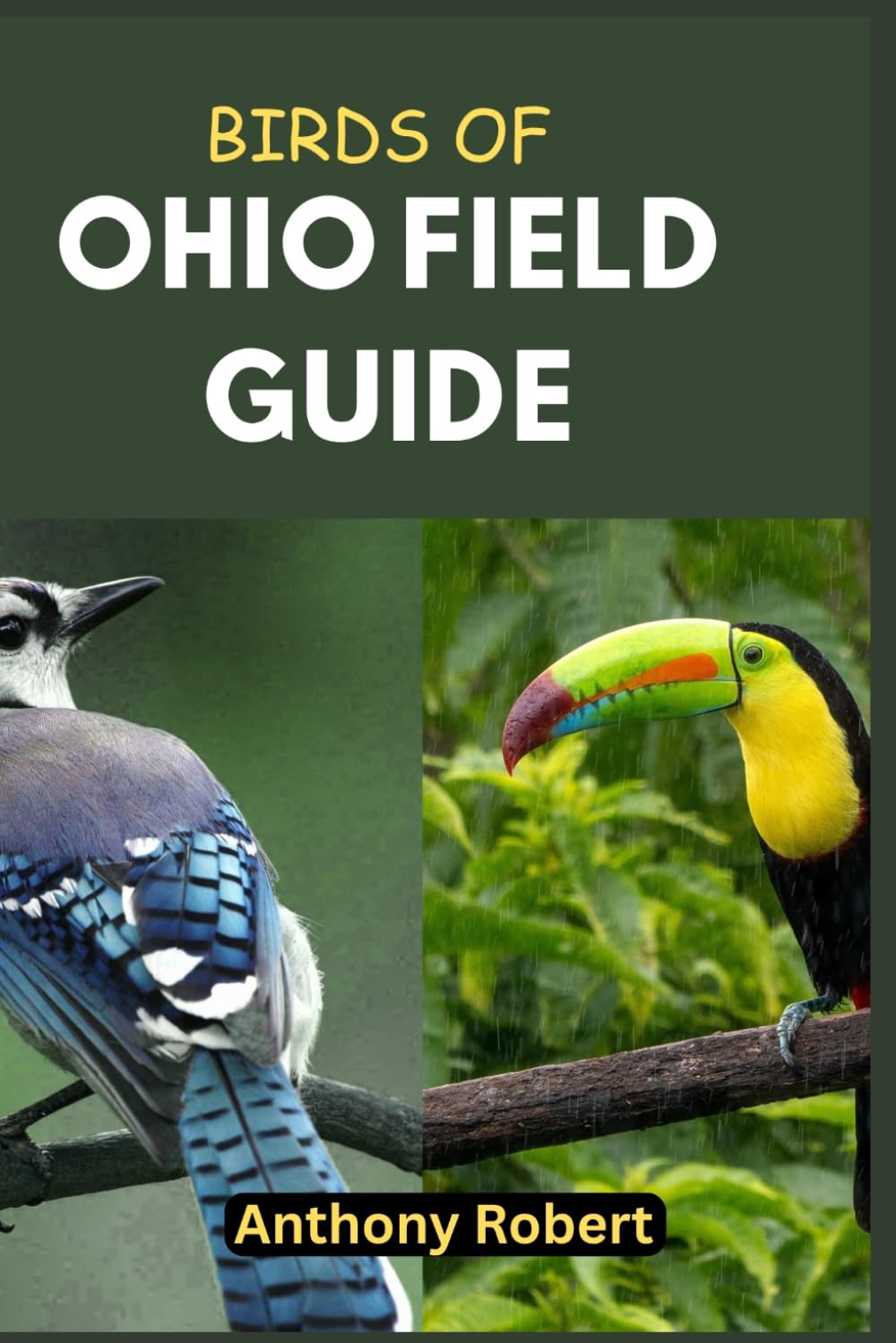 Birds of Ohio Field Guide: Discover 150+ Bird Species and Their Habitats Across Ohio