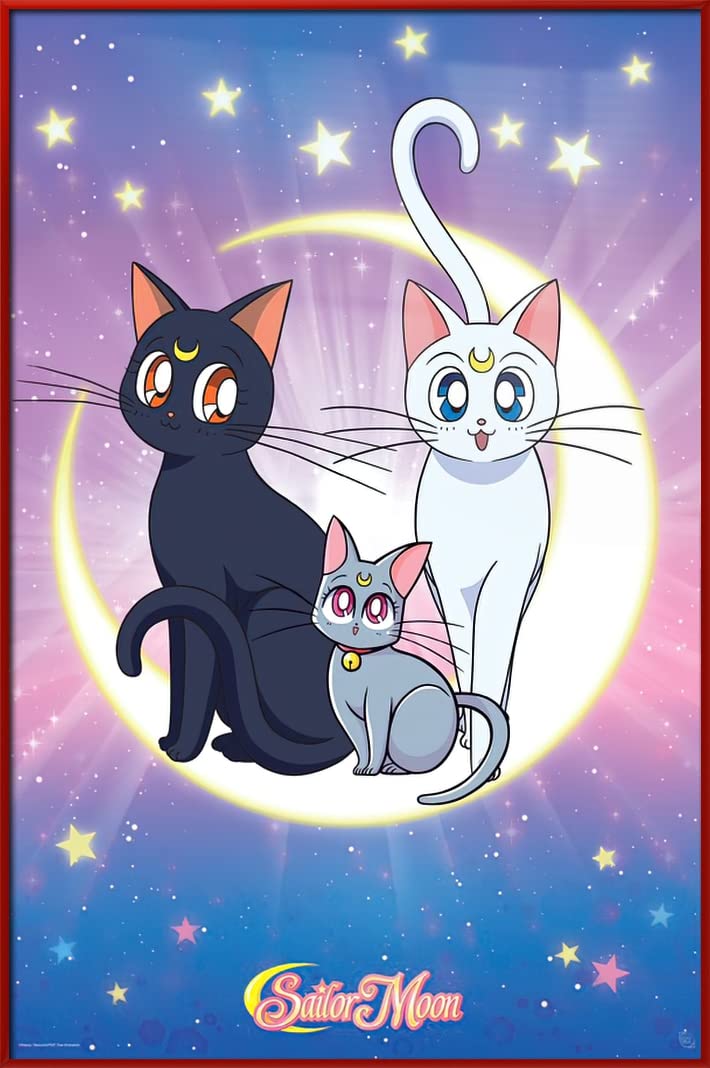 Amazon.co.jp: 美少女戦士セーラームーン - フレーム付きマンガ/アニメ