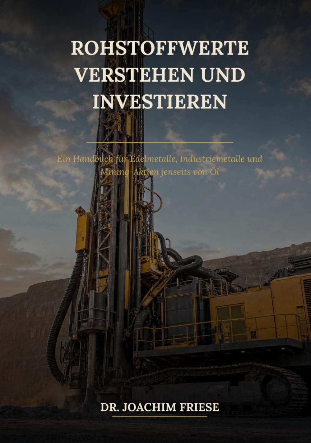 Rohstoffwerte verstehen und investieren: Ein Handbuch für Edelmetalle, Industriemetalle und Mining-Aktien jenseits von Öl