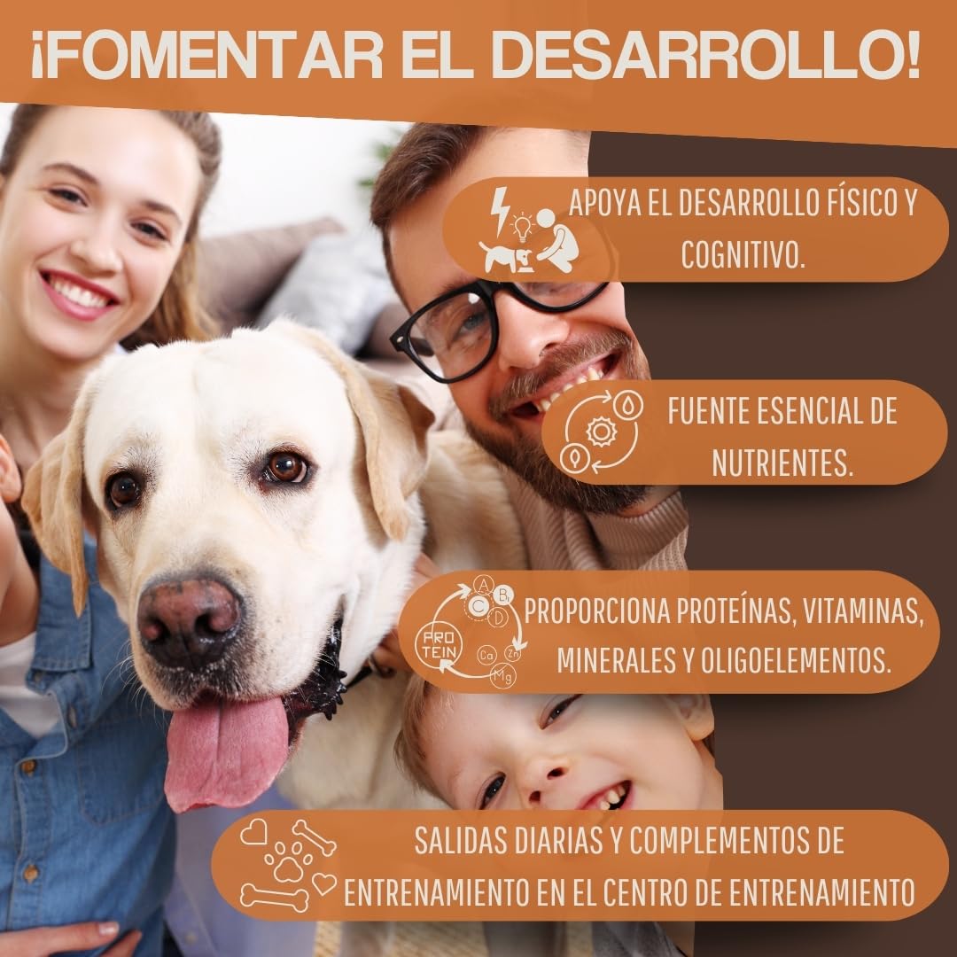 WEPO Golosinas para perros – 1 kg de pulmón de vacuno seco – aperitivos saludables – Dog Treats – Saludable y fabricado en el Reino Unido – Suministra proteínas, vitaminas y