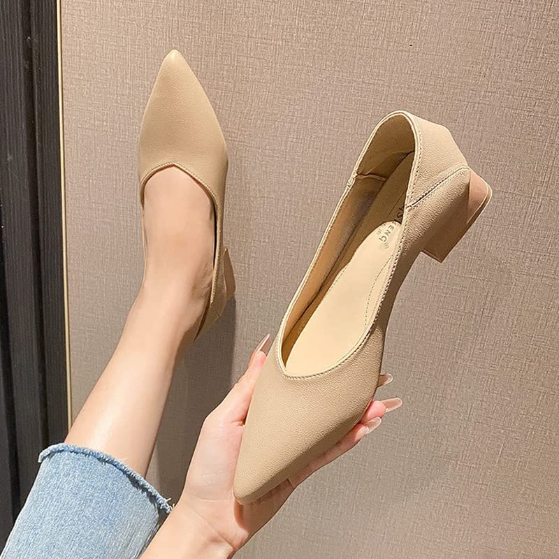 Dear Time Ballerina Flats Shoes for Women Pointy Toe Soft Basic Slip On Flat Shoes2