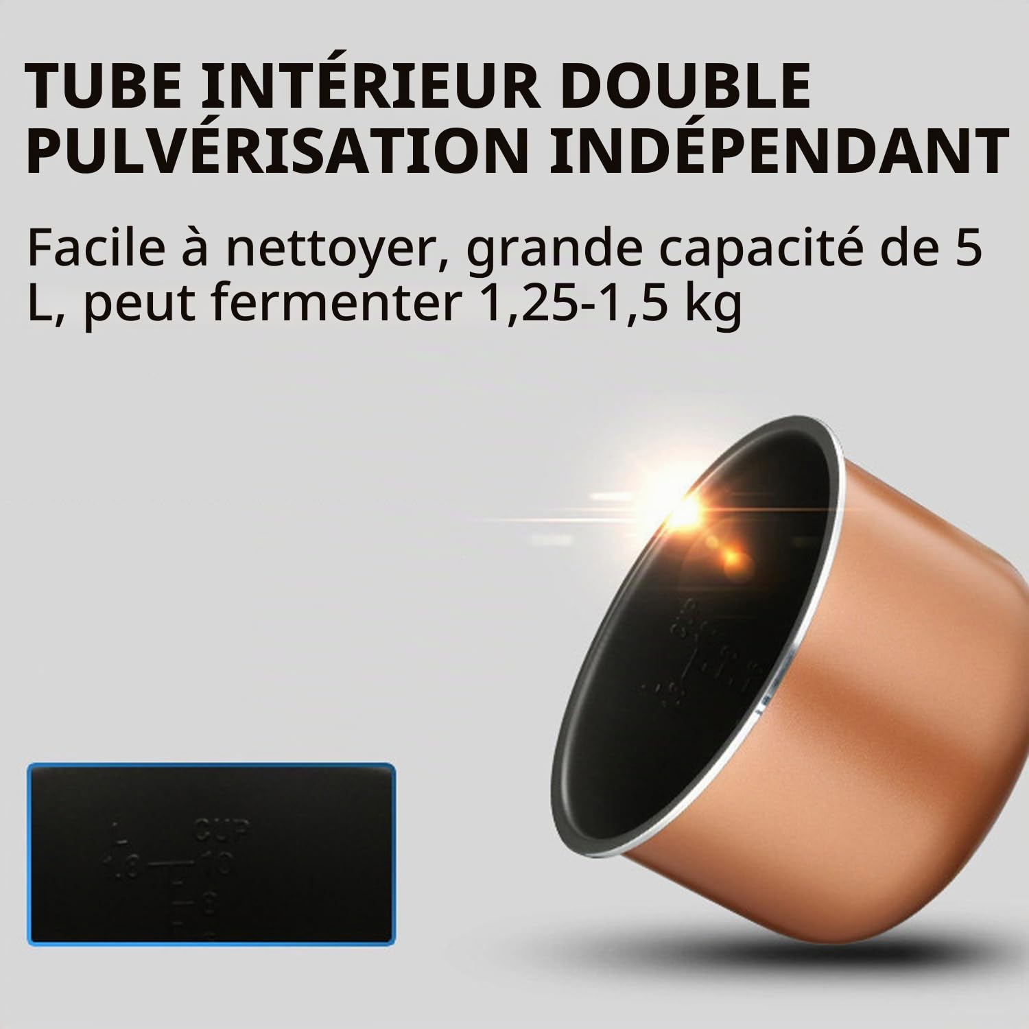 Machine de fermentation à l'ail noir, boîte de fermentation d'ail de 5 l, fermenteur d'ail noir avec support à ail en acier inoxydable à 2 couches, fermentation rapide 168 heures, pour yaourt,